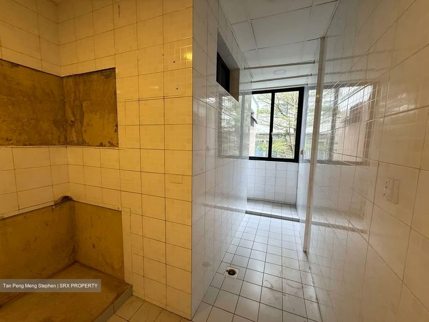 Charlton Corner (D19), Apartment #537577971
